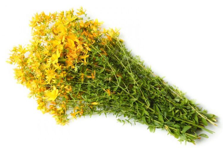San Giovanni's grass is used in the treatment of osteoarthritis